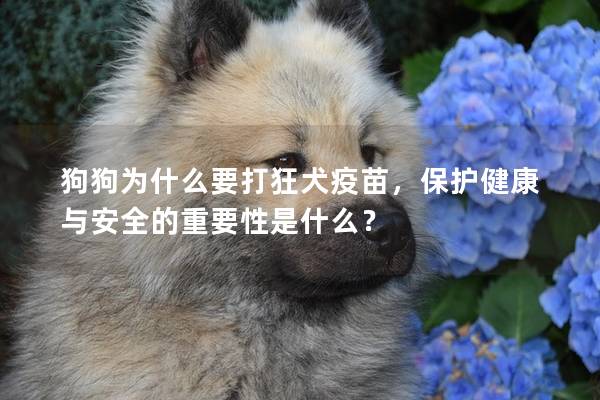 狗狗为什么要打狂犬疫苗，保护健康与安全的重要性是什么？