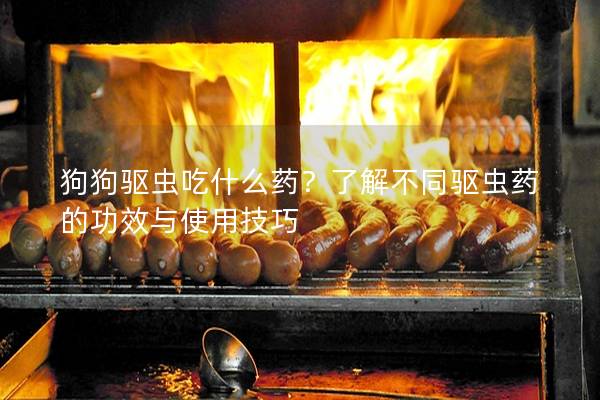狗狗驱虫吃什么药？了解不同驱虫药的功效与使用技巧