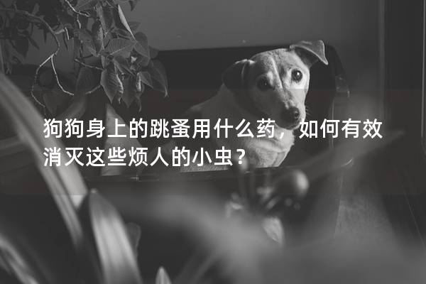 狗狗身上的跳蚤用什么药，如何有效消灭这些烦人的小虫？