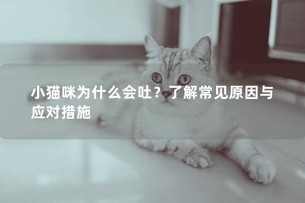 小猫咪为什么会吐？了解常见原因与应对措施