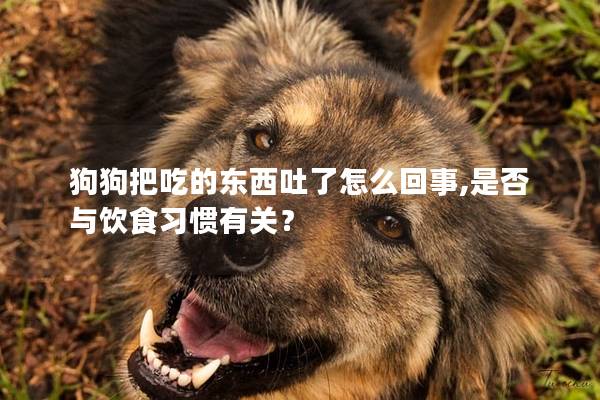 狗狗把吃的东西吐了怎么回事,是否与饮食习惯有关？