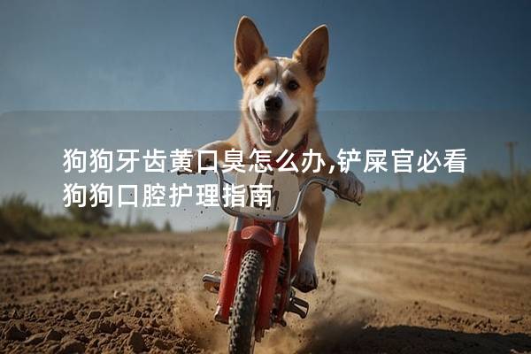 狗狗牙齿黄口臭怎么办,铲屎官必看狗狗口腔护理指南