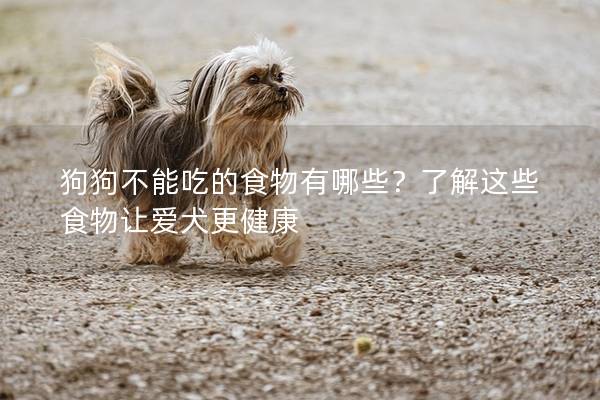 狗狗不能吃的食物有哪些？了解这些食物让爱犬更健康