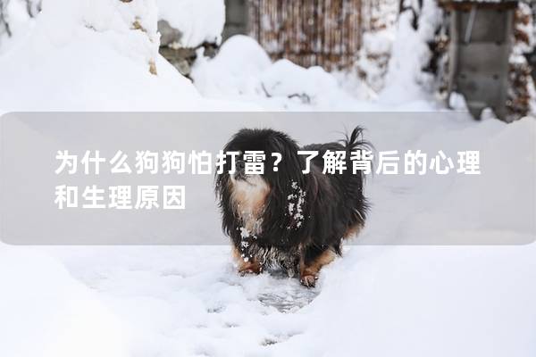 为什么狗狗怕打雷？了解背后的心理和生理原因