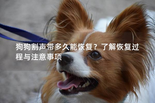 狗狗割声带多久能恢复？了解恢复过程与注意事项