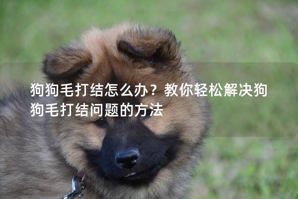 狗狗毛打结怎么办？教你轻松解决狗狗毛打结问题的方法