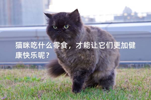 猫咪吃什么零食，才能让它们更加健康快乐呢？