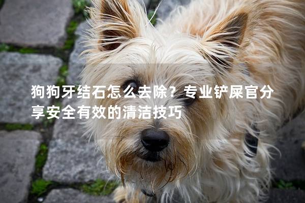 狗狗牙结石怎么去除？专业铲屎官分享安全有效的清洁技巧