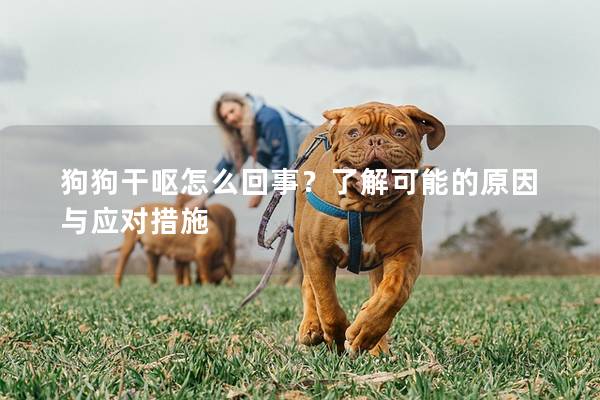 狗狗干呕怎么回事？了解可能的原因与应对措施