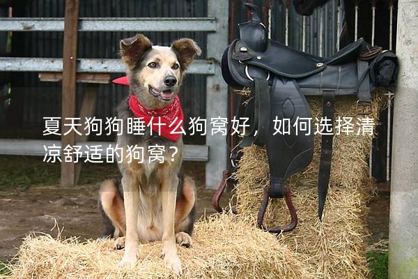 夏天狗狗睡什么狗窝好，如何选择清凉舒适的狗窝？