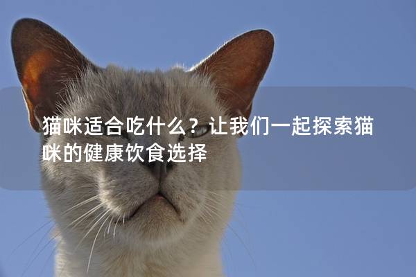 猫咪适合吃什么？让我们一起探索猫咪的健康饮食选择
