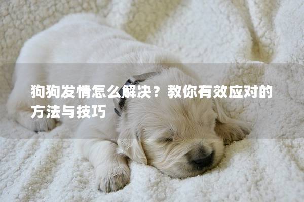狗狗发情怎么解决？教你有效应对的方法与技巧