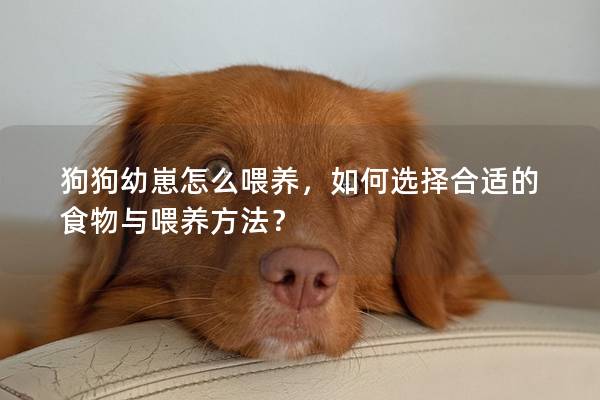 狗狗幼崽怎么喂养，如何选择合适的食物与喂养方法？