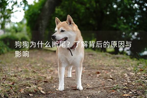 狗狗为什么断尾？了解背后的原因与影响