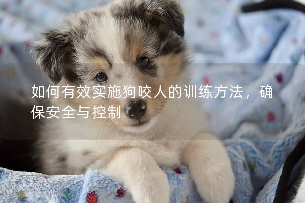 如何有效实施狗咬人的训练方法，确保安全与控制