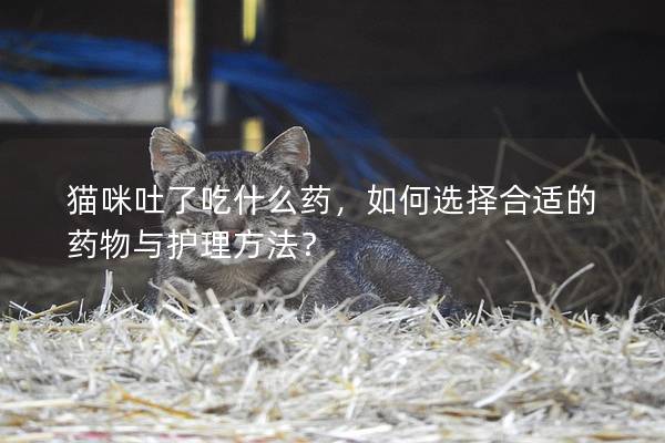 猫咪吐了吃什么药，如何选择合适的药物与护理方法？