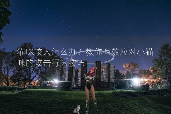 猫咪咬人怎么办？教你有效应对小猫咪的攻击行为技巧