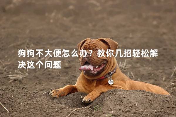 狗狗不大便怎么办？教你几招轻松解决这个问题