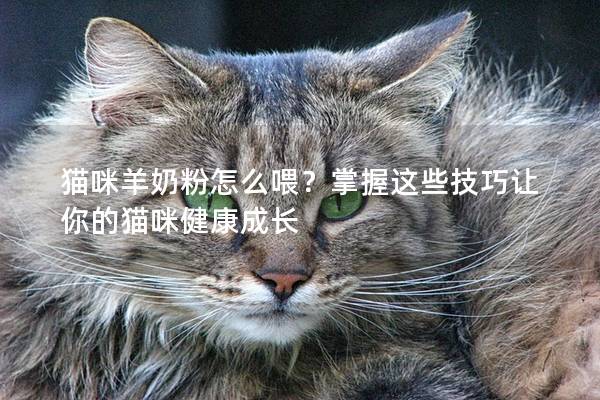猫咪羊奶粉怎么喂？掌握这些技巧让你的猫咪健康成长