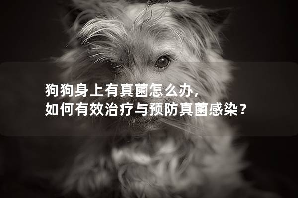 狗狗身上有真菌怎么办, 如何有效治疗与预防真菌感染？