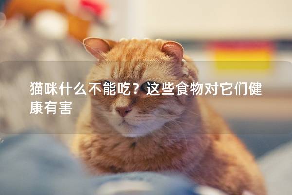 猫咪什么不能吃？这些食物对它们健康有害