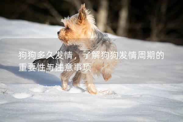 狗狗多久发情，了解狗狗发情周期的重要性与注意事项