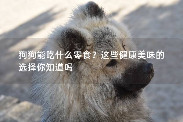 狗狗能吃什么零食？这些健康美味的选择你知道吗