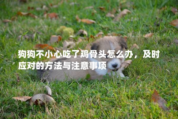 狗狗不小心吃了鸡骨头怎么办，及时应对的方法与注意事项