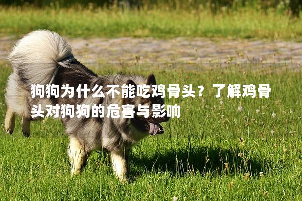狗狗为什么不能吃鸡骨头？了解鸡骨头对狗狗的危害与影响