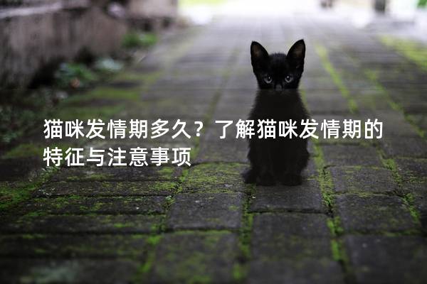 猫咪发情期多久？了解猫咪发情期的特征与注意事项