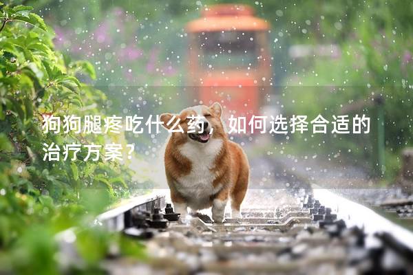 狗狗腿疼吃什么药，如何选择合适的治疗方案？
