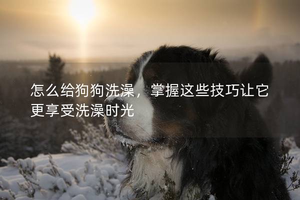 怎么给狗狗洗澡，掌握这些技巧让它更享受洗澡时光