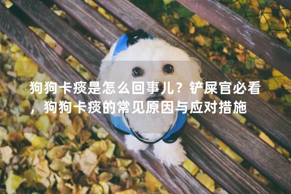 狗狗卡痰是怎么回事儿？铲屎官必看，狗狗卡痰的常见原因与应对措施