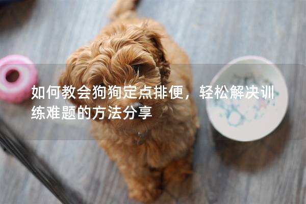 如何教会狗狗定点排便，轻松解决训练难题的方法分享