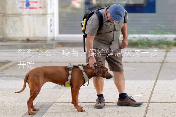 狗狗怎么打疫苗，保护健康从这一步开始