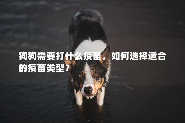 狗狗需要打什么疫苗，如何选择适合的疫苗类型？