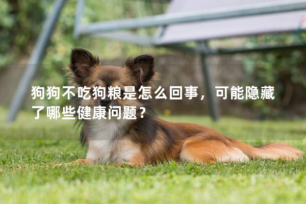 狗狗不吃狗粮是怎么回事，可能隐藏了哪些健康问题？