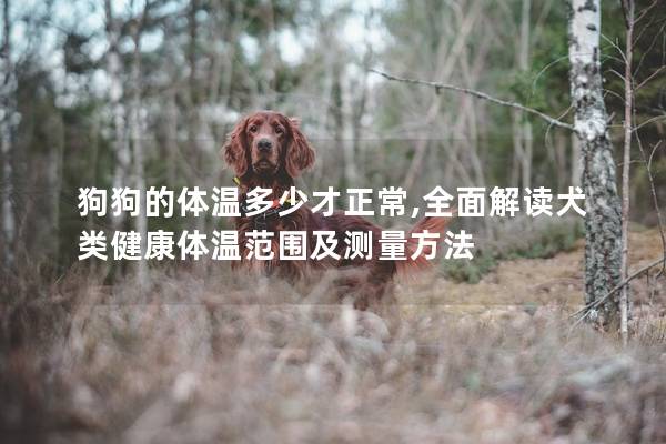 狗狗的体温多少才正常,全面解读犬类健康体温范围及测量方法