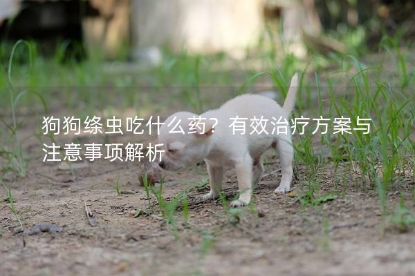狗狗绦虫吃什么药？有效治疗方案与注意事项解析