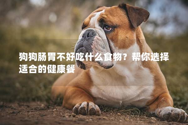 狗狗肠胃不好吃什么食物？帮你选择适合的健康餐