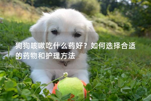 狗狗咳嗽吃什么药好？如何选择合适的药物和护理方法