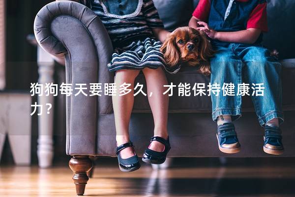 狗狗每天要睡多久，才能保持健康活力？