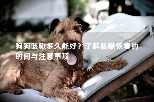狗狗咳嗽多久能好？了解咳嗽恢复的时间与注意事项
