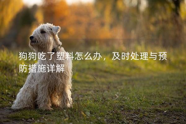 狗狗吃了塑料怎么办，及时处理与预防措施详解