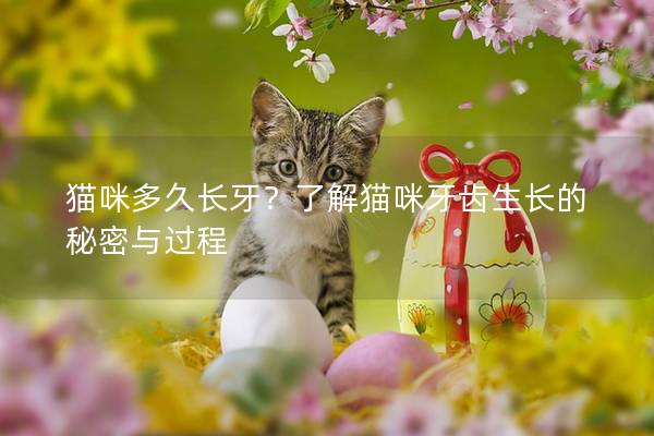猫咪多久长牙？了解猫咪牙齿生长的秘密与过程