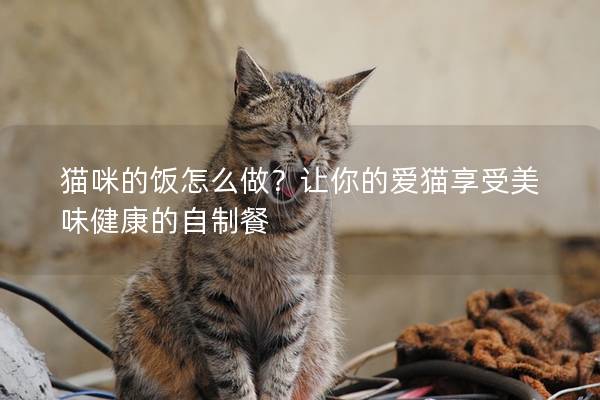 猫咪的饭怎么做？让你的爱猫享受美味健康的自制餐