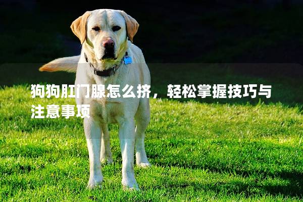 狗狗肛门腺怎么挤，轻松掌握技巧与注意事项