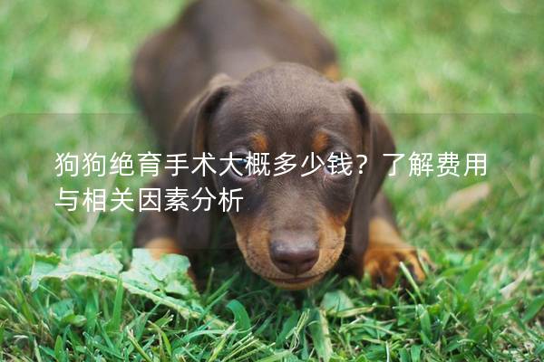 狗狗绝育手术大概多少钱？了解费用与相关因素分析