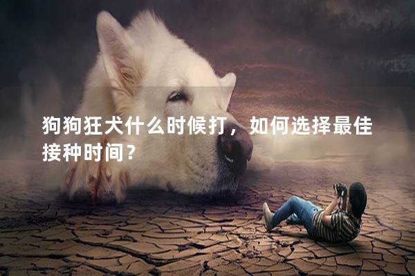 狗狗狂犬什么时候打，如何选择最佳接种时间？
