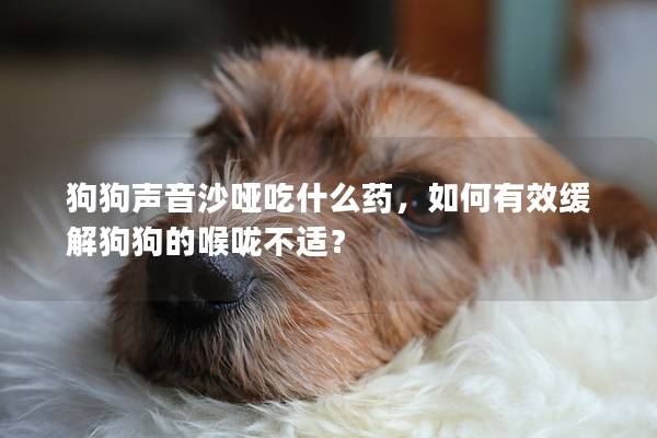 狗狗声音沙哑吃什么药，如何有效缓解狗狗的喉咙不适？